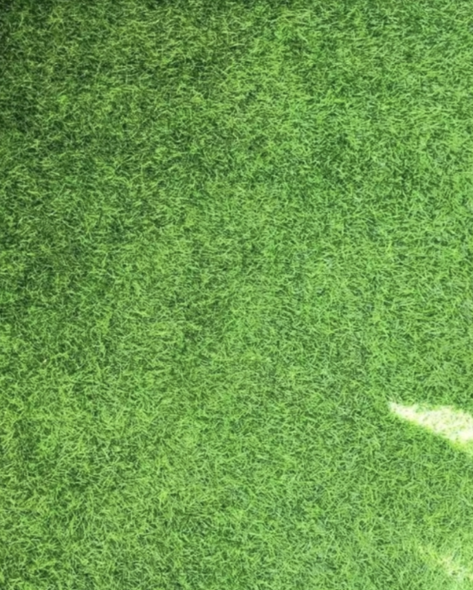 如何辨别人造草坪的优劣 